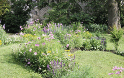 TRADITIONNEL JOUR DE JARDINAGE A CHAMPOUSSIN